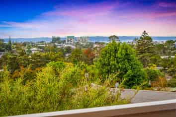 56 Paewai Road, Glen Eden