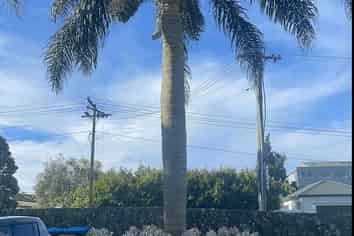 10E Sylvan Avenue East, Mount Eden