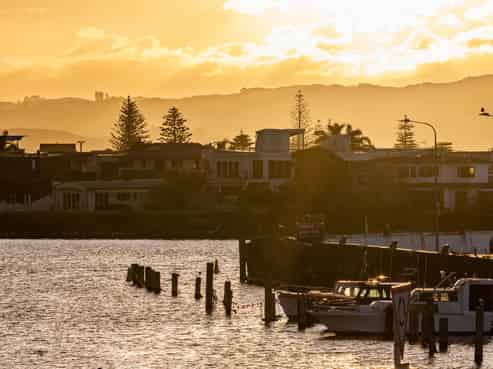 33 Coronation Street, Ahuriri