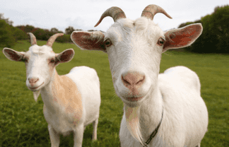 Lot 2/64 Puhoi Road, Puhoi