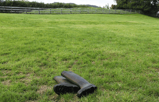  Brenda Gardner Way, Maunu