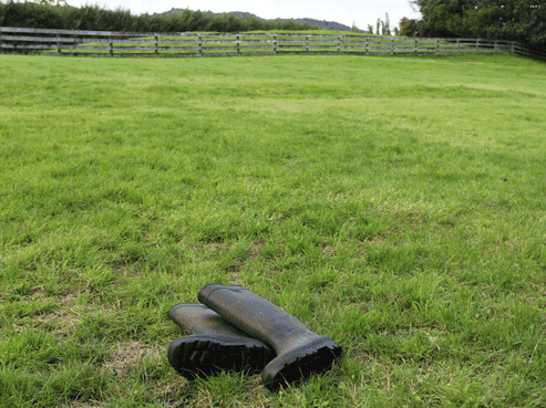  Brenda Gardner Way, Maunu