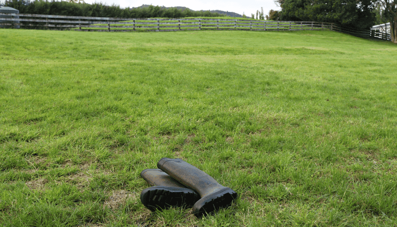  Brenda Gardner Way, Maunu