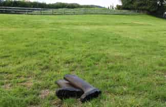  Brenda Gardner Way, Maunu