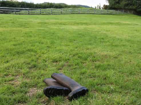  Brenda Gardner Way, Maunu