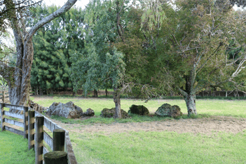  Brenda Gardner Way, Maunu
