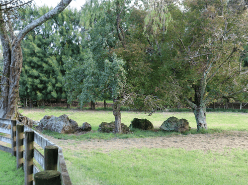  Brenda Gardner Way, Maunu