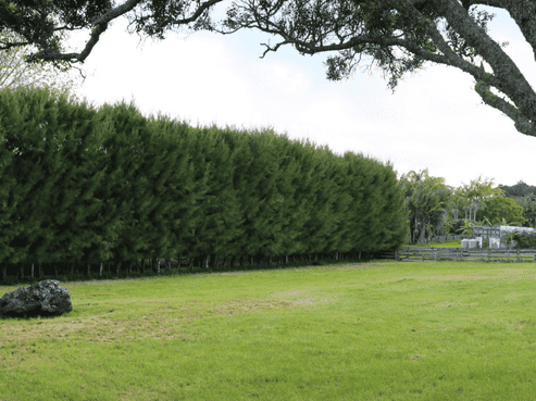  Brenda Gardner Way, Maunu