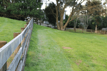  Brenda Gardner Way, Maunu