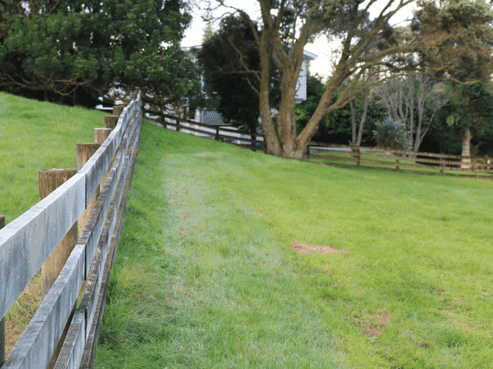  Brenda Gardner Way, Maunu