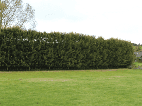  Brenda Gardner Way, Maunu