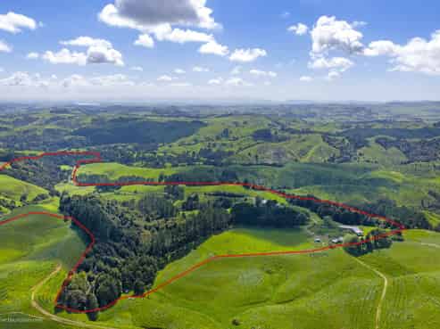 83 Kerr Road, Onewhero