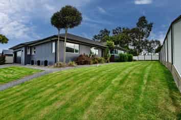 50 Hoffman Court, Waikiwi