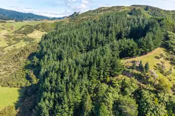 358 Kuku East Road, Manakau