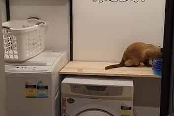 36 Purcell Street, Foxton