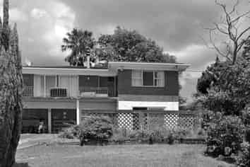 266 Don Buck Road, Massey