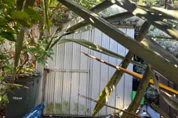 106 Bann Street, Bluff