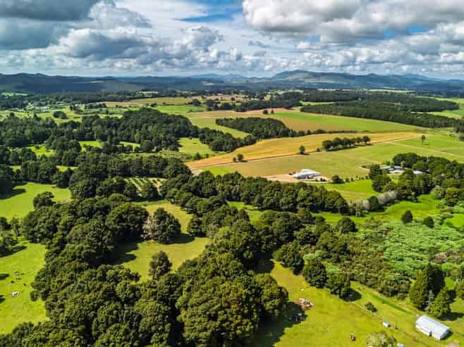 75 Thorpe Rd, Kaikohe