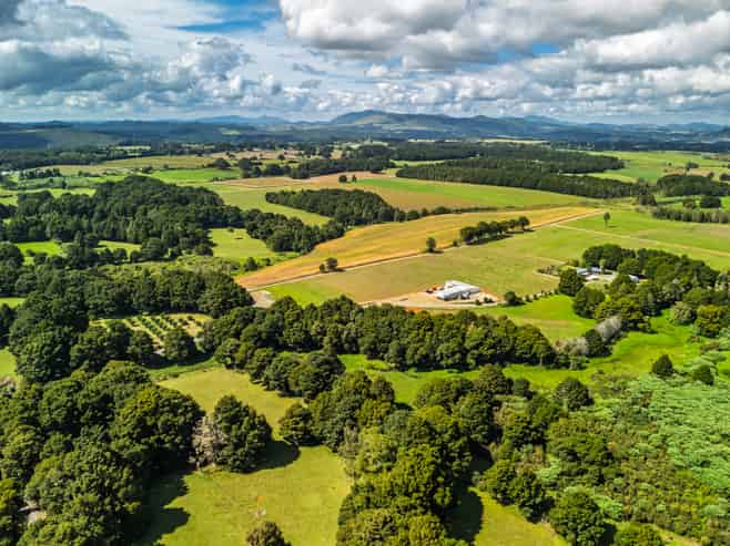 75 Thorpe Rd, Kaikohe