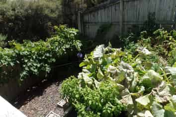 59A Tiri Tiri Road, Birkdale