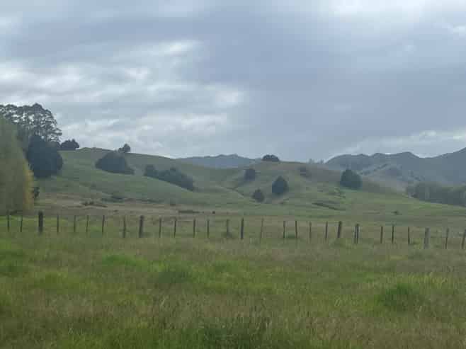 3567 Mangakahia Road, Poroti