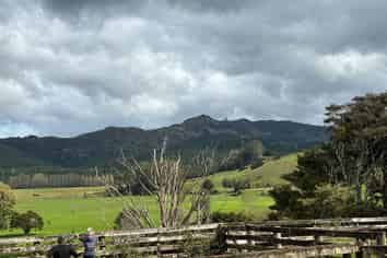 3567 Mangakahia Road, Poroti