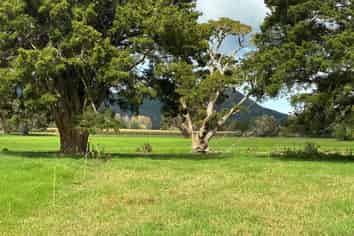 3567 Mangakahia Road, Poroti