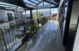 Natural Light-Filled Office