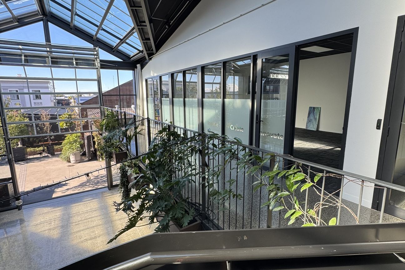 Natural Light-Filled Office - Widok 2
