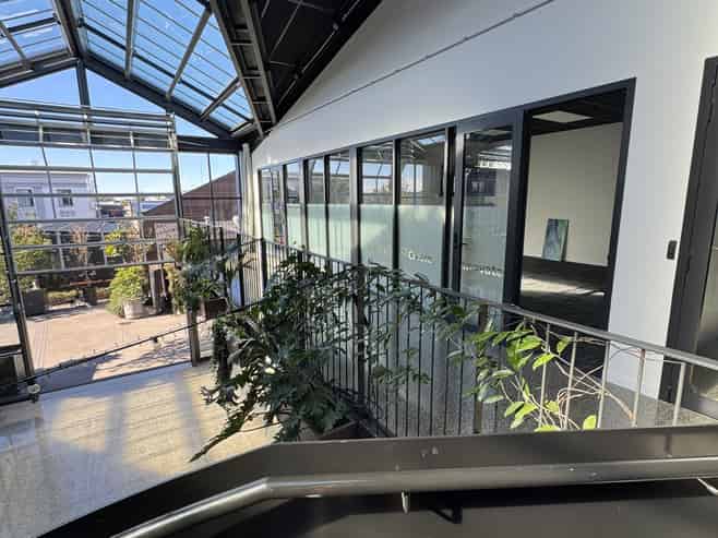 Natural Light-Filled Office