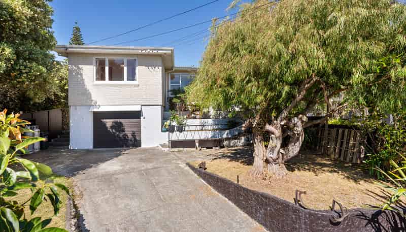 41 Lupin Road, Otaki