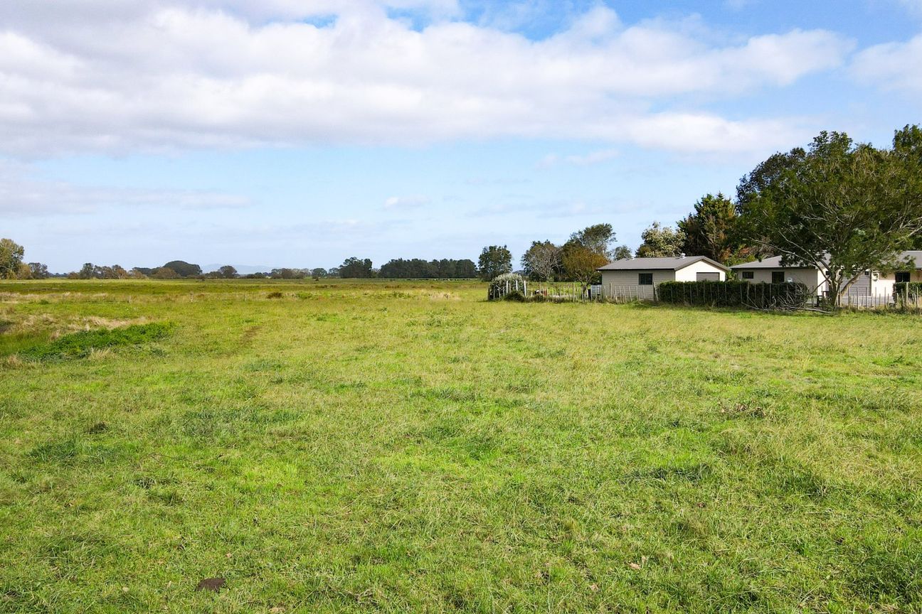 Blank canvas, no build covenants - View 6