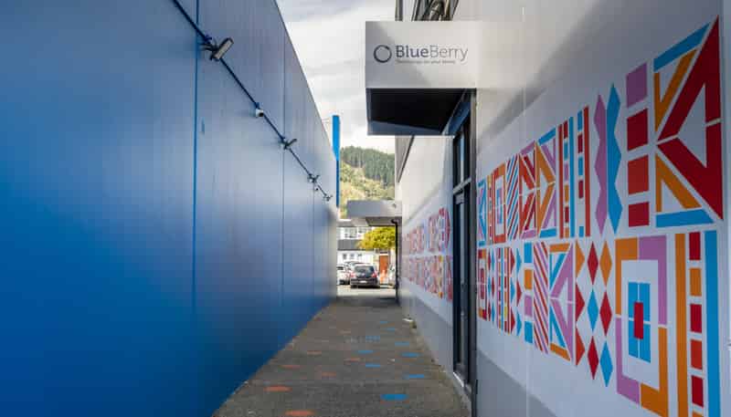60 Achilles Avenue, Nelson