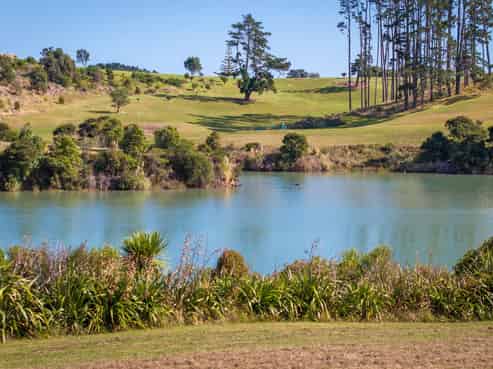 60 Omahina Street, Raglan