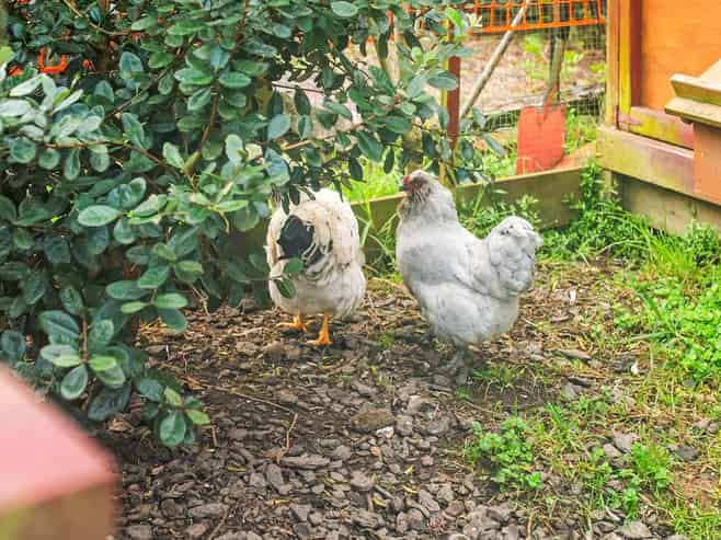 Exceptional Childcare Business & Freehold Prop...