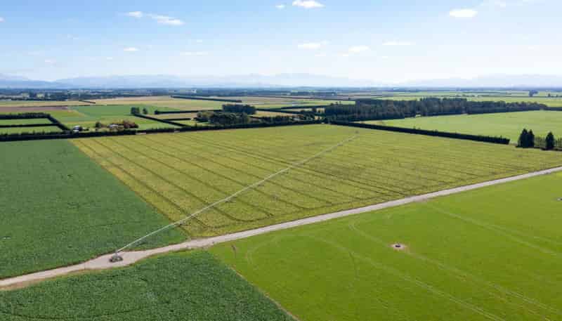 1329 Wards Road, Darfield