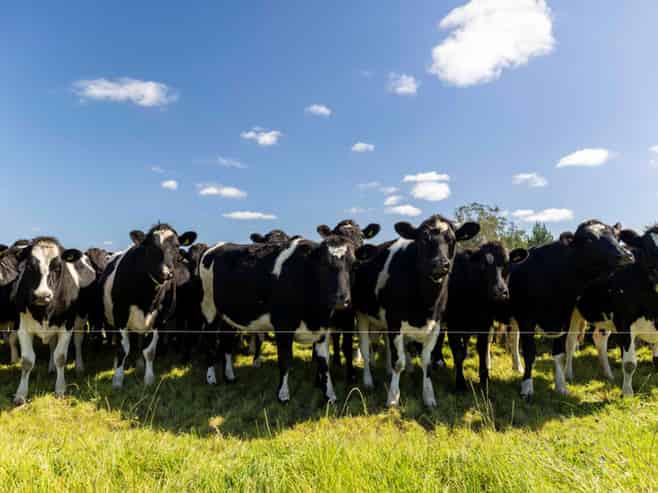 1329 Wards Road, Darfield