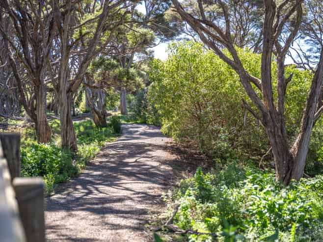  Anderson Park Drive, Waikanae