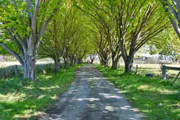230A Lees Road, Kaiapoi