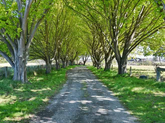 230A Lees Road, Kaiapoi