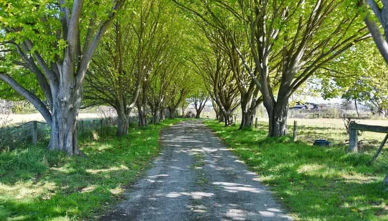 230A Lees Road, Kaiapoi