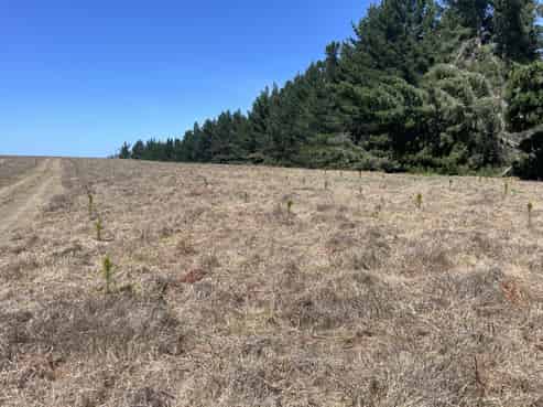  Toko Mouth Road, Toko Mouth