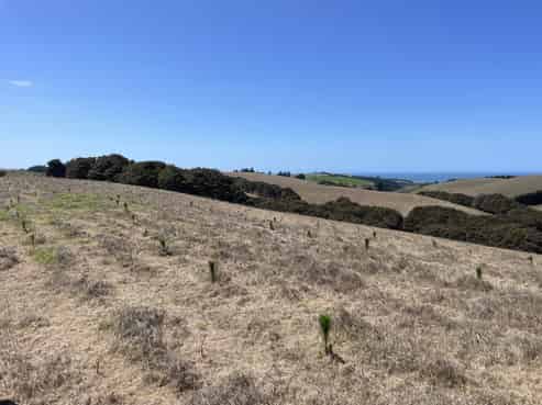 Toko Mouth Road, Toko Mouth