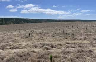  Toko Mouth Road, Toko Mouth