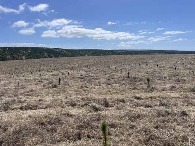  Toko Mouth Road, Toko Mouth