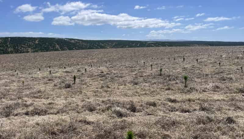  Toko Mouth Road, Toko Mouth