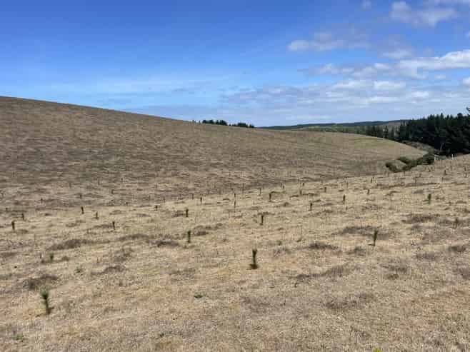  Toko Mouth Road, Toko Mouth