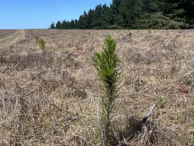  Toko Mouth Road, Toko Mouth