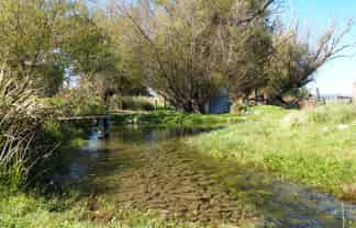 321 Clayton Road, Fairlie