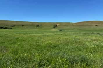 1791 Bells Lane, Tarras